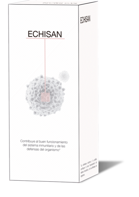 Echisan