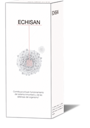 Echisan